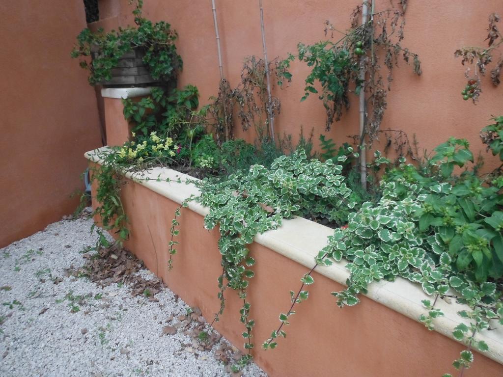 Appartement Le Romarin Mallemort Exterior foto
